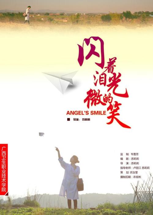 维思大学 Design degree certificate